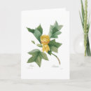 Search for tulip tree cards Floral
