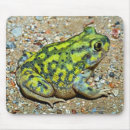 Search for toads mouse mats Wildlife