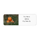 Search for giving thanks return address labels Pumpkins
