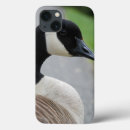 Search for geese electronics Waterfowl