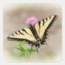 Search for swallowtail stickers Insect