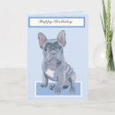 Search for french bulldog puppy cards Frenchy