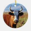 Search for cute cow christmas tree decorations Cowgirl