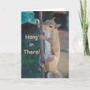 Search for funny hang in there cards Cute
