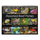 Search for fish calendars Colorful