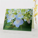Search for congratulations party invitations Celebrations