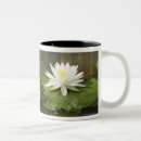 Search for bullfrog mugs Animal