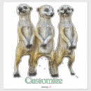 Search for mongoose stickers Meerkat