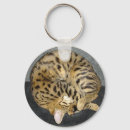 Search for chat round key rings Kitten