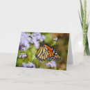 Search for mist flower cards Summer