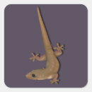 Search for common stickers Reptiles