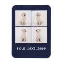 Search for instagram magnets Cool