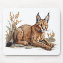 Search for postcards mouse mats Animal