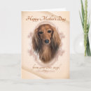 Search for dachshund mothers day cards Pet