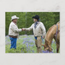 Search for rancher postcards Horse