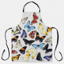 Search for morpho aprons Insect