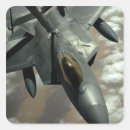 Search for cockpit stickers Canopy