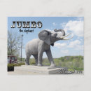 Search for jumbo postcards Elephant