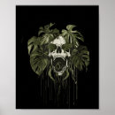 Search for skull posters Women