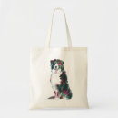 Search for bernese accessories Illustration