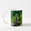 Search for cute meerkats mugs Nature