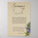 Search for rosemary herb posters Botanical