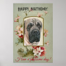 Search for mastiff posters Canine