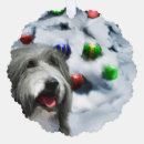 Search for bearded collie christmas cards Xmas