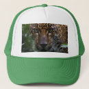 Search for jaguar hats Wild