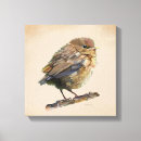 Search for blackbirds art Cute