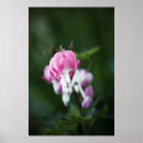 Search for bleeding heart art White