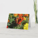 Search for flutter cards Insects