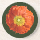 Search for orange poppies coasters Summer