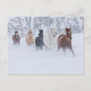 Search for horse run postcards Winter