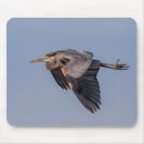 Search for blue heron mouse mats Wildlife