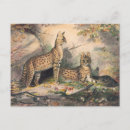 Search for serval postcards Nature