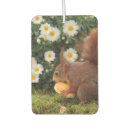 Search for daisy car air fresheners Daisies