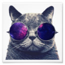 Search for a classy cat posters Kitten