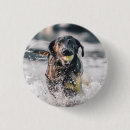Search for water animals badges Dog