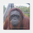 Search for borneo magnets Nature