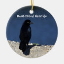 Search for tail christmas tree decorations Birds