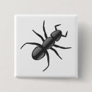 Search for ant badges Animal