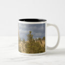 Search for devils tower mugs Nm