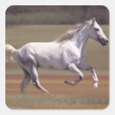 Search for running horse stickers Nature