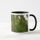 Search for muir woods mugs California