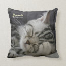 Search for beanie cushions Funny