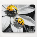 Search for bug pictures mouse mats Nature