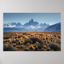 Search for patagonia posters Landscape