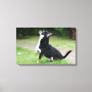 Search for chihuahua dog canvas prints Sitting