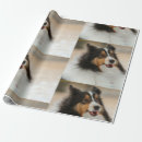 Search for sheltie wrapping paper Cute